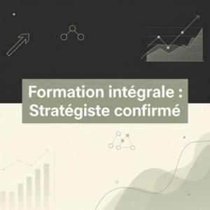 Formation intégrale : Stratégiste confirmé
