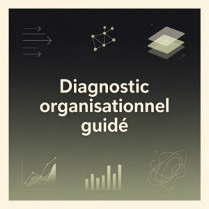 Diagnostic organisationnel guidé